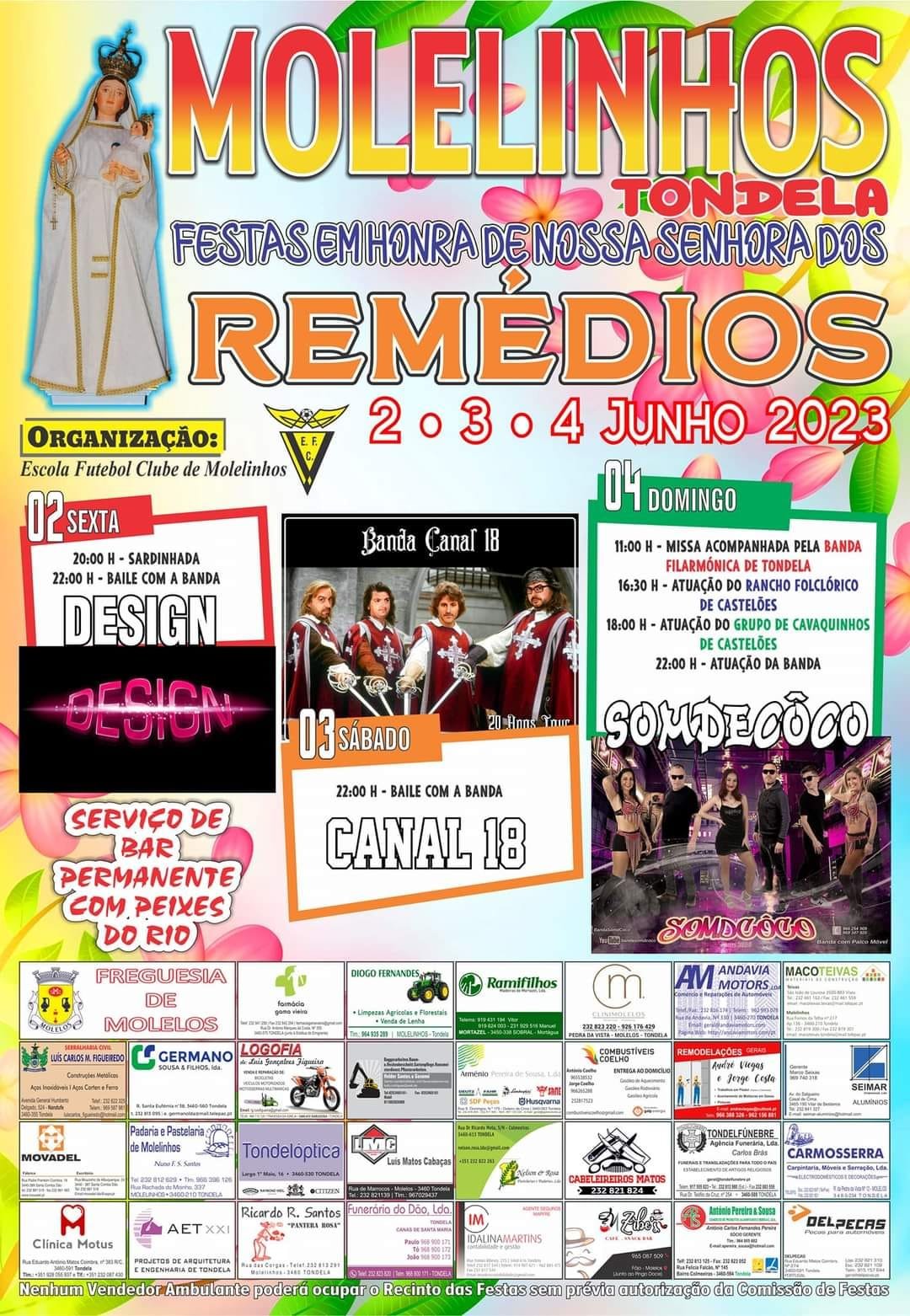 Cartaz Festas em Honra de Nossa Senhora dos Remédios 2023 - Tondela
