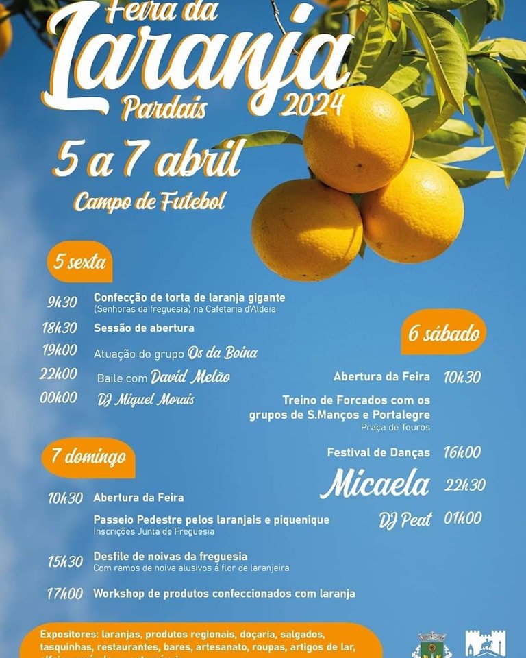 Cartaz Feira da Laranja 2024 - Pardais