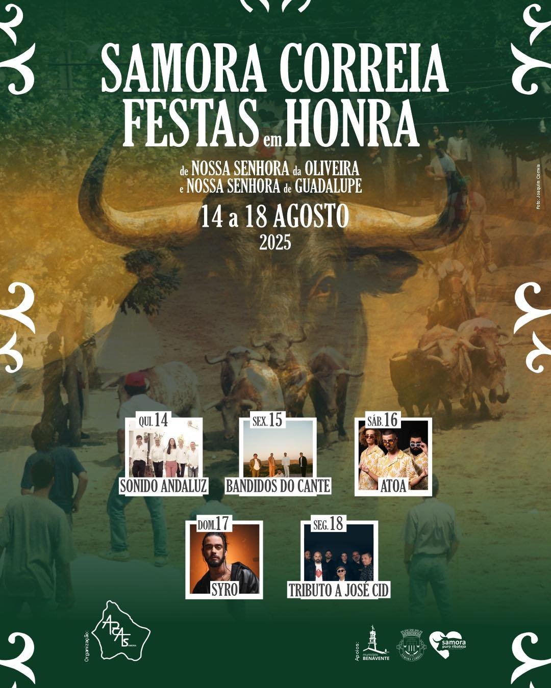 Cartaz Festas em Honra de Nossa Senhora da Oliveira 2025 - Samora Correia