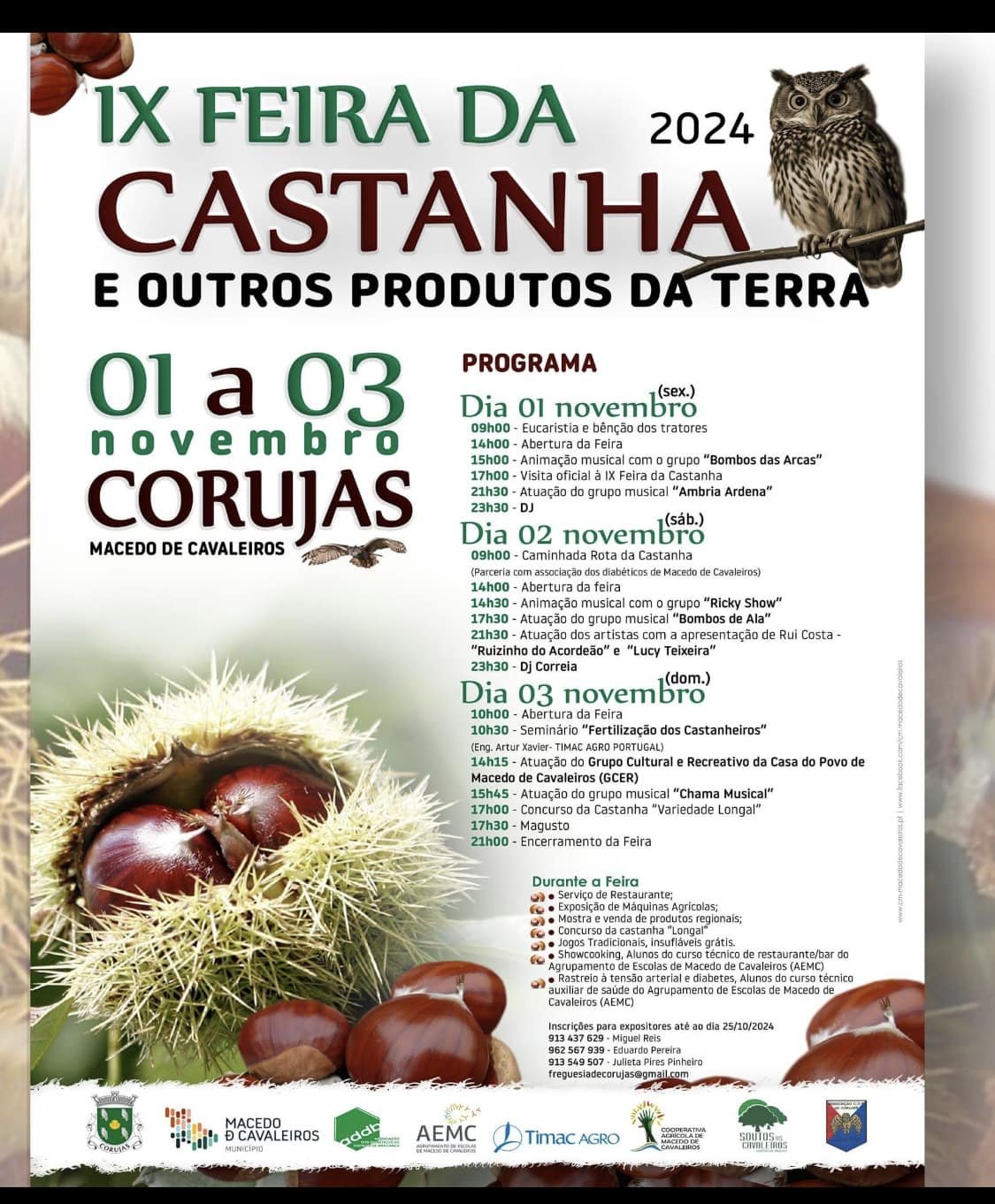 Cartaz IX Feira da Castanha 2024 - Corujas