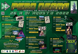 Cartaz Festas em Honra de Nossa Senhora do Desterro 2022