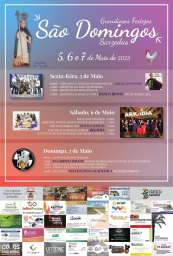 Cartaz Festas de São Domingos 2023 - Sarzedas