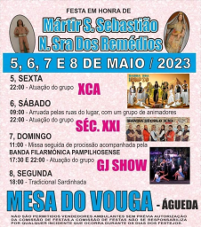 Cartaz Festa em Honra de Mártir São Sebastião e Nossa Senhora dos Remédios 2023 - Águeda