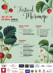 Cartaz Festival do Morando 2023 - Ameal