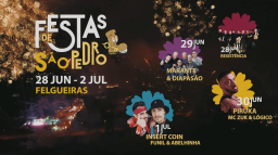 Cartaz Festa de São Pedro 2023 - Felgueiras