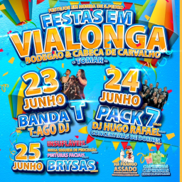 Cartaz Festas de São Pedro 2023 - Vialonga