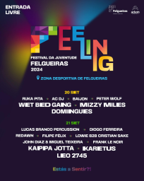 Cartaz Feeling | Festival da Juventude 2024 - Felgueiras