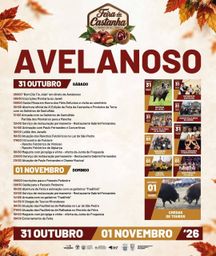 Cartaz Feira da Castanha 2026 - Avelanoso