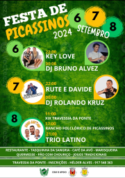 Cartaz Festa de Picassinos 2024 - Marinha Grande