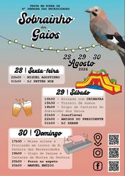 Cartaz Festa em Honra de Nossa Senhora das Necessidades 2026 - Proença a Nova