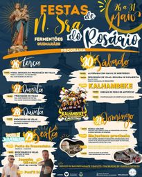 Cartaz Festas de N. Sra do Rosário 2026 - Fermentões