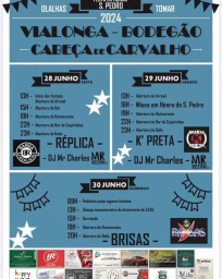 Cartaz Festas de São Pedro 2024 - Vialonga
