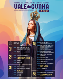 Cartaz Festas em Honra de N. Sr.ª  da Agonia 2024 - Vale da Gunha