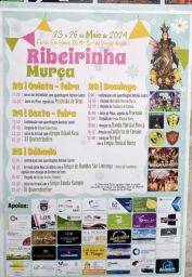 Cartaz Festas em honra de Nossa Senhora de Val de Veigas 2024 - Ribeirinha