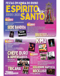 Cartaz Festas em Honra do Divino Espirito Santo 2025 - Soure