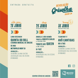 Cartaz Revolução Grisalha 2024 - Baião